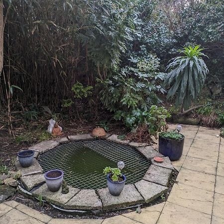 The Garden Apartment St Ives  Bagian luar foto