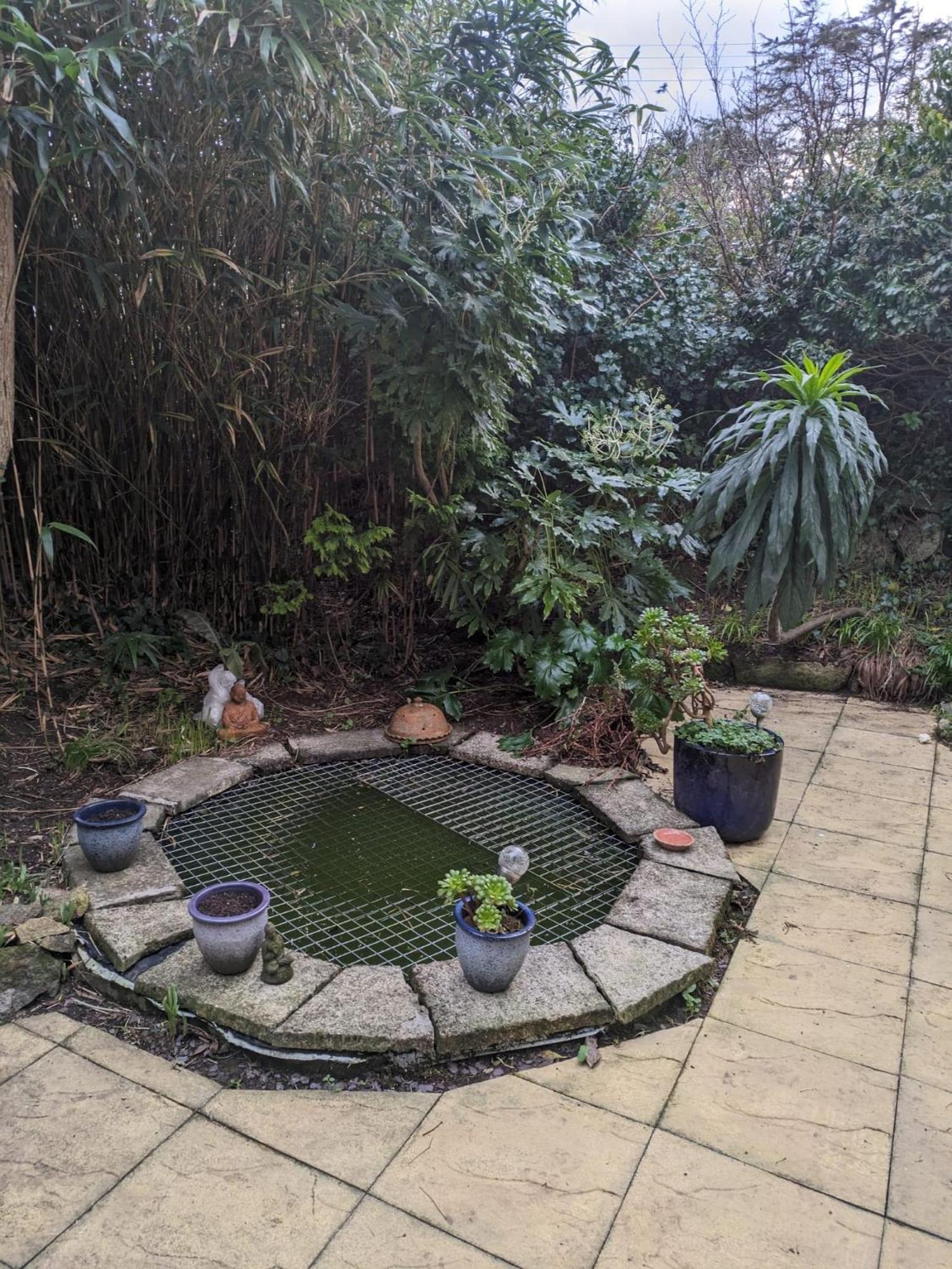 The Garden Apartment St Ives  Bagian luar foto